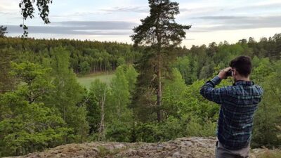 Evening Wildlife Safari Stockholm
