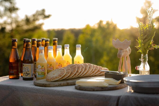 Evening Wildlife Safari Stockholm - What the $165.65 price really covers
