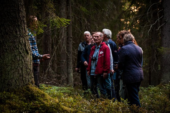 Evening Wildlife Safari Stockholm - Booking and cancellation details