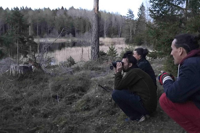 Evening Wildlife Safari with Campfire Dinner from Stockholm - How difficult is the hike?