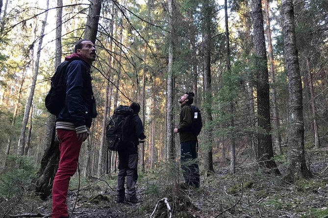 Evening Wildlife Safari with Campfire Dinner from Stockholm - Who will enjoy this Stockholm nature outing?