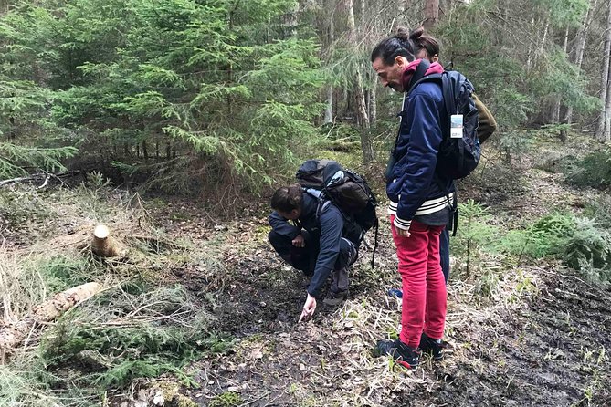 Evening Wildlife Safari with Campfire Dinner from Stockholm - Walking through the forest toward the lake