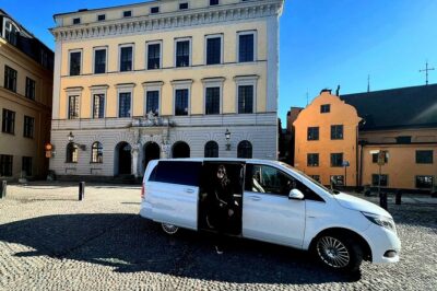 Exclusive Grand Stockholm Tour Vasa & Skansen*****