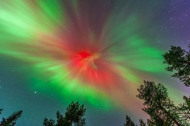 Experience the majestic Auroras Kiruna-Abisko & lodge dinner - Key points at a glance
