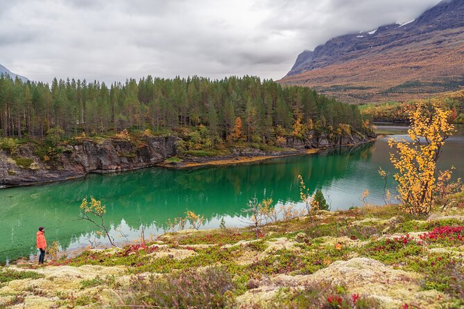 Explore the Norwegian Fjords and the Wildlife From Abisko - Is $181.02 a fair price?