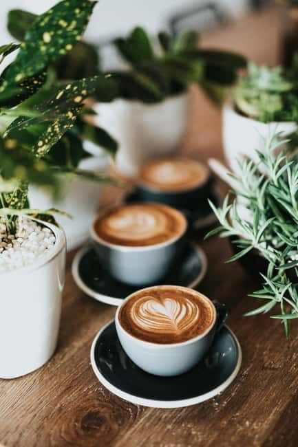 Fika Tour to hideaway cafés - Walking through a more ordinary Stockholm