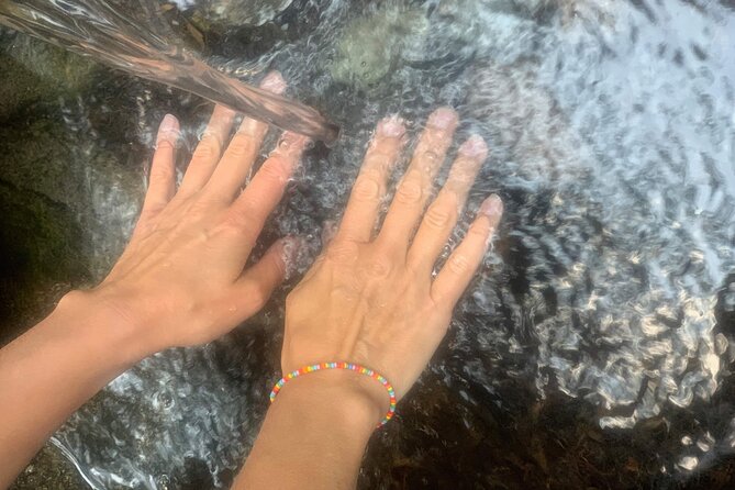 Forestbathing Slow Walking and Healing Spring Water, Stockholm - The lake, fika, and a well-earned pause