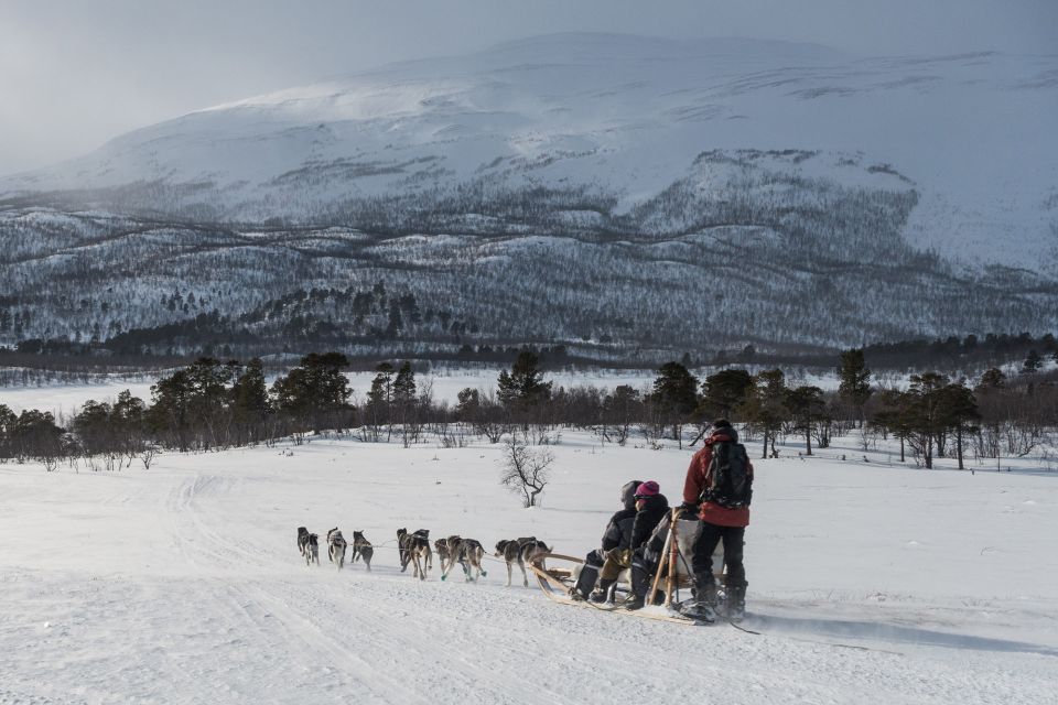 From Abisko: Dog Sledding Excursion to Kiruna with Fika - Key points to know before booking