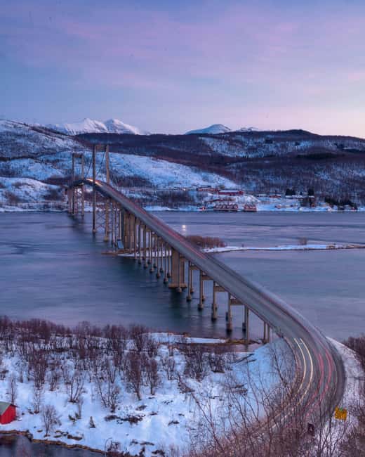 From Abisko: Narvik City and Fjord Day Trip - Why the guide can make or break the day