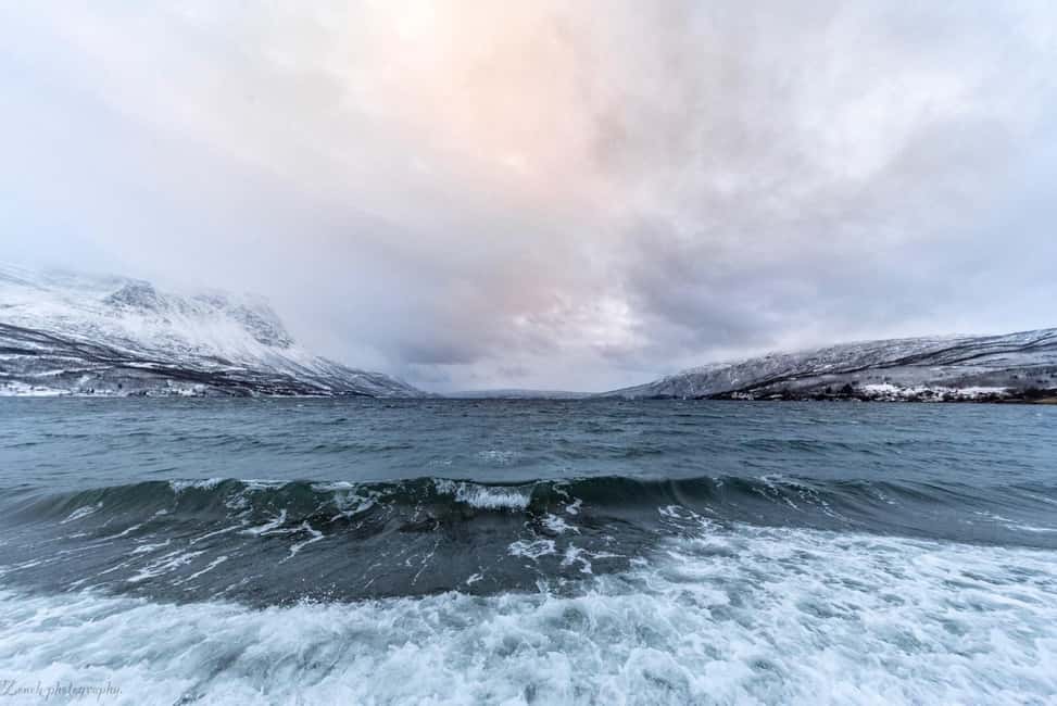 From Abisko: Narvik City and Fjord Day Trip - Who should book this trip?