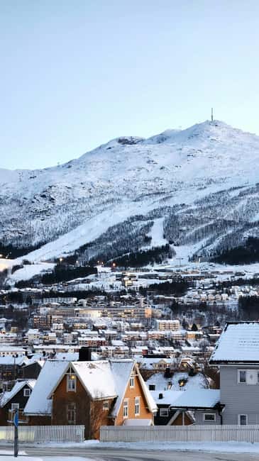 Narvik City and Fjord Day Trip