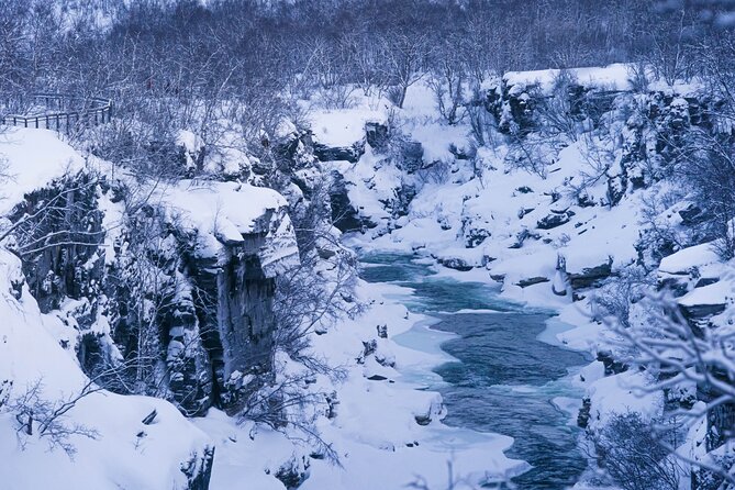 From Kiruna: Explore Abisko by Day - Björkliden: frozen water and a mountain viewpoint