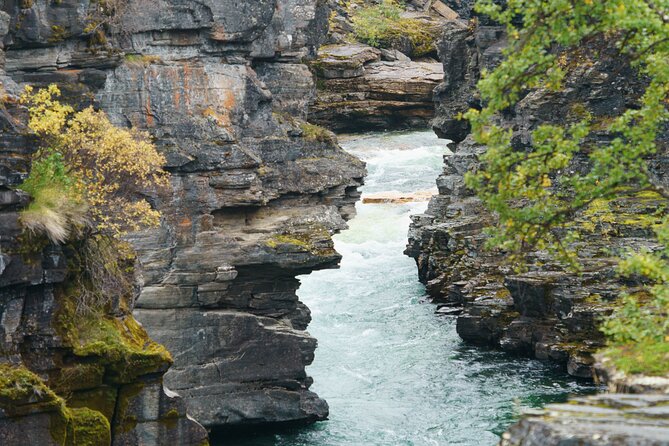 From Kiruna: Explore Abisko by Day - The Arctic road trip is part of the attraction