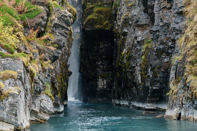 From Kiruna: Explore Abisko by Day - What is included, and what you need to bring