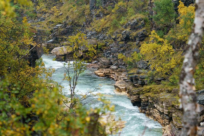 From Kiruna: Explore Abisko by Day - Price and value at $175.43