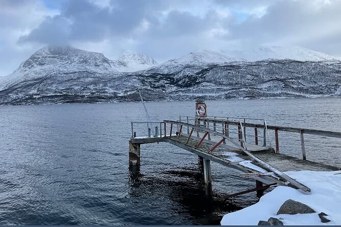 From Kiruna: Narvik City and Fjord Day Trip - Crossing into Norway and watching the scenery change
