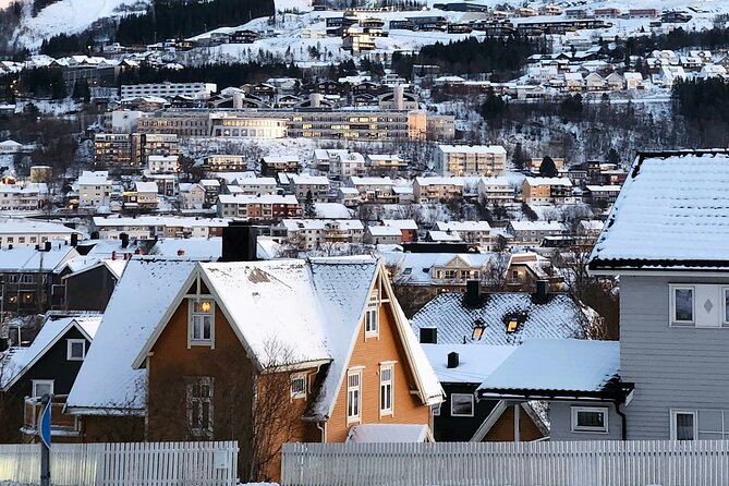 From Kiruna: Narvik City and Fjord Day Trip - Arriving in Narvik, a working city with a dramatic setting