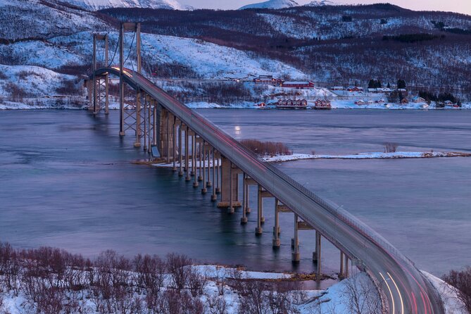 From Kiruna: Narvik City and Fjord Day Trip - Lunch in Narvik and time in the city