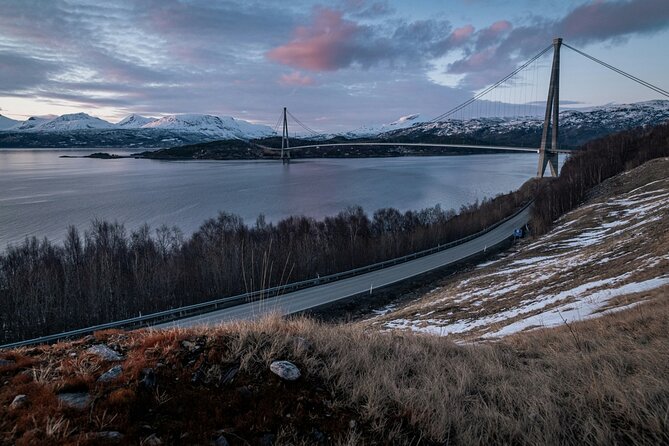 From Kiruna: Narvik City and Fjord Day Trip - What the small group adds