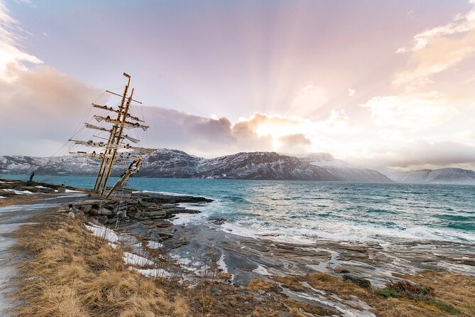 From Kiruna: Narvik City and Fjord Day Trip - Who should book this Kiruna to Narvik trip?