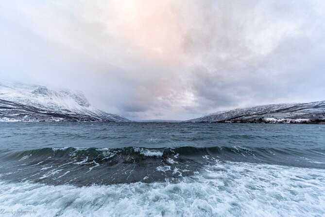 From Kiruna: Narvik City and Fjord Day Trip - Along Lake Torneträsk and Abisko National Park