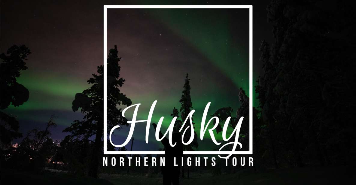 From Kiruna: Northern Lights Guided Husky Sledding Adventure - Key things to know before booking