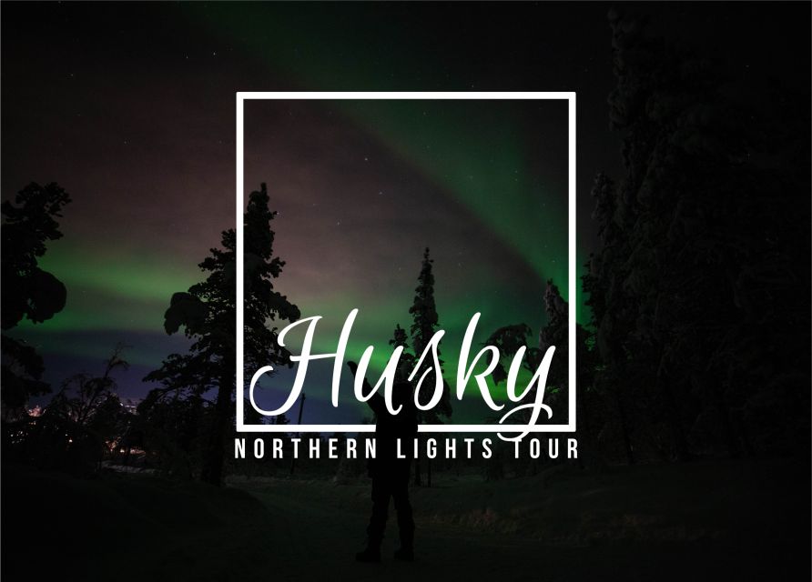 From Kiruna: Northern Lights Guided Husky Sledding Adventure - The 30-minute safety briefing that makes beginners comfortable