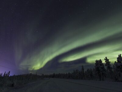 Northern Lights Guided Husky Sledding Adventure