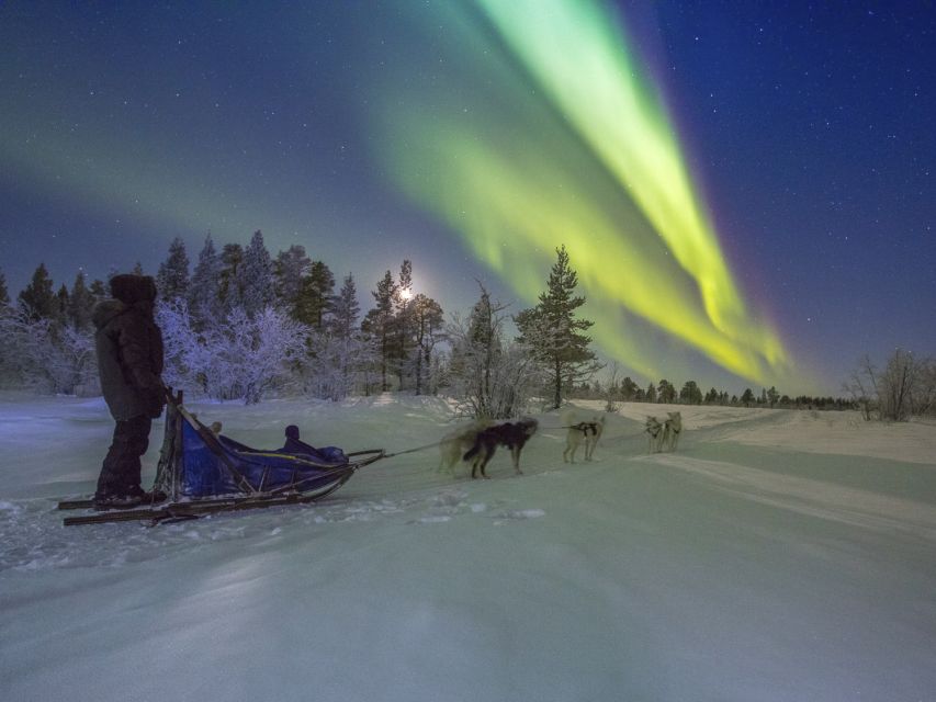 From Kiruna: Northern Lights Guided Husky Sledding Adventure - Fire, fika, and a gentler end to the evening