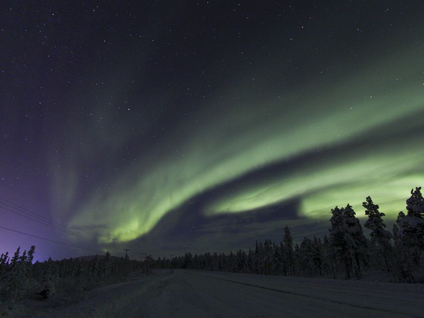 From Kiruna: Northern Lights Guided Husky Sledding Adventure - Meeting the huskies before the ride