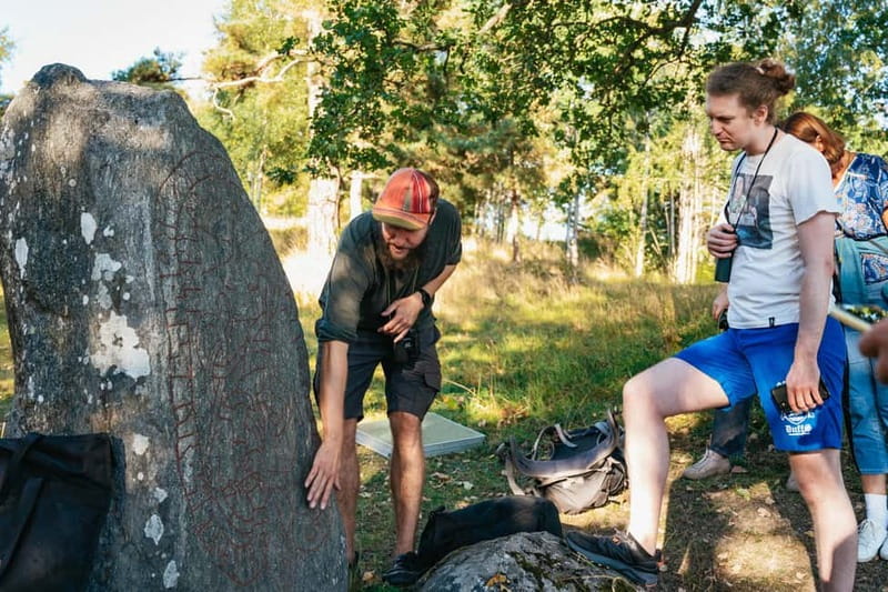 From Stockholm: Moose & Wildlife Safari with Campfire Dinner - The essential points at a glance