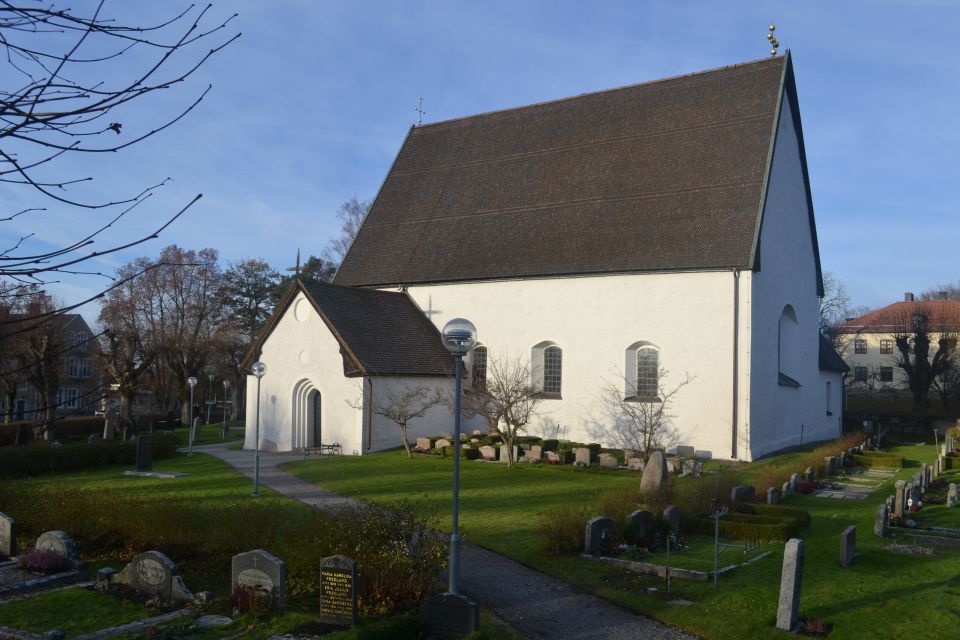From Stockholm: Uppsala and Sigtuna Viking Sites Tour - Five things to know before you go