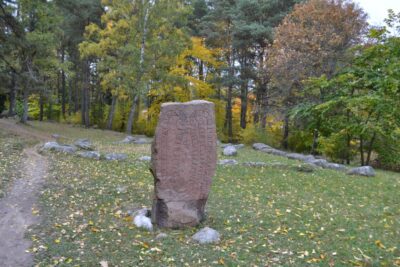 Uppsala and Sigtuna Viking Sites Tour