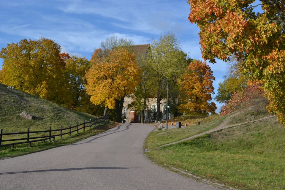 From Stockholm: Uppsala and Sigtuna Viking Sites Tour - Is $235 a fair price?