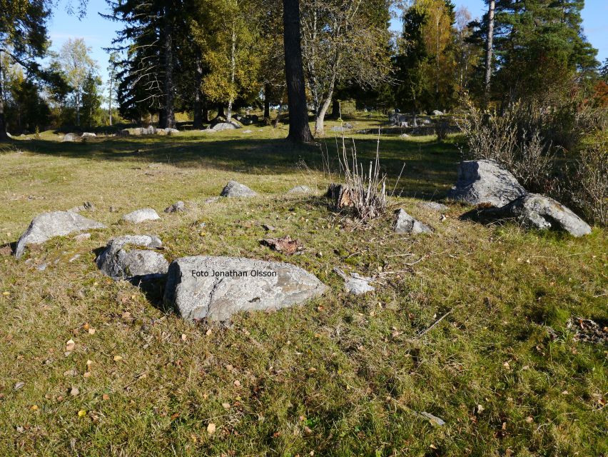 From Stockholm: Viking Culture and Heritage Small Group Tour - What the countryside adds to the experience