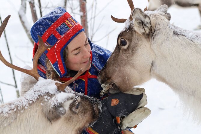 Full-Day Reindeer Tour with Pickup in Kiruna - Key things to know before booking