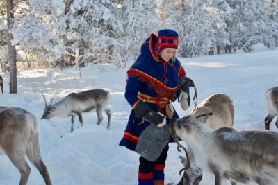 Full-Day Reindeer Tour with Pickup in Kiruna