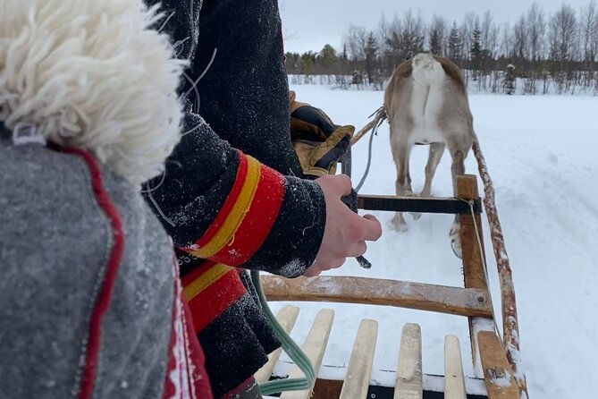 Full-Day Reindeer Tour with Pickup in Kiruna - Lunch in the traditional tent