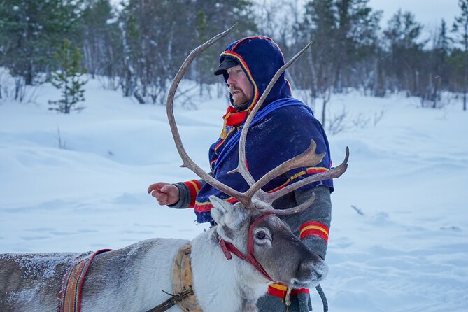 Full-Day Reindeer Tour with Pickup in Kiruna - Warm clothing, cold limits, and practical comfort