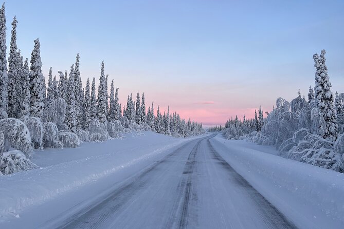 Full-Day Reindeer Tour with Pickup in Kiruna - Is $309.21 a fair price?