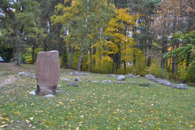 Full Day Viking Tour with Fika Swedish Coffee Break - Old Uppsala burial mounds and church