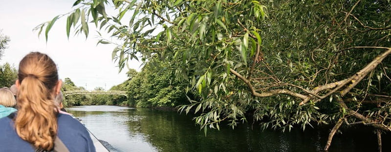 Gothenburg: Paddan Sightseeing Cruise on the River Säveån - Why this cruise offers more than a standard canal ride