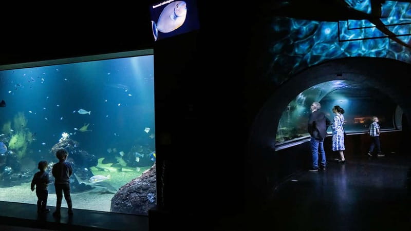 Gothenburg: Universeum Entry Ticket - Key things to know before you go