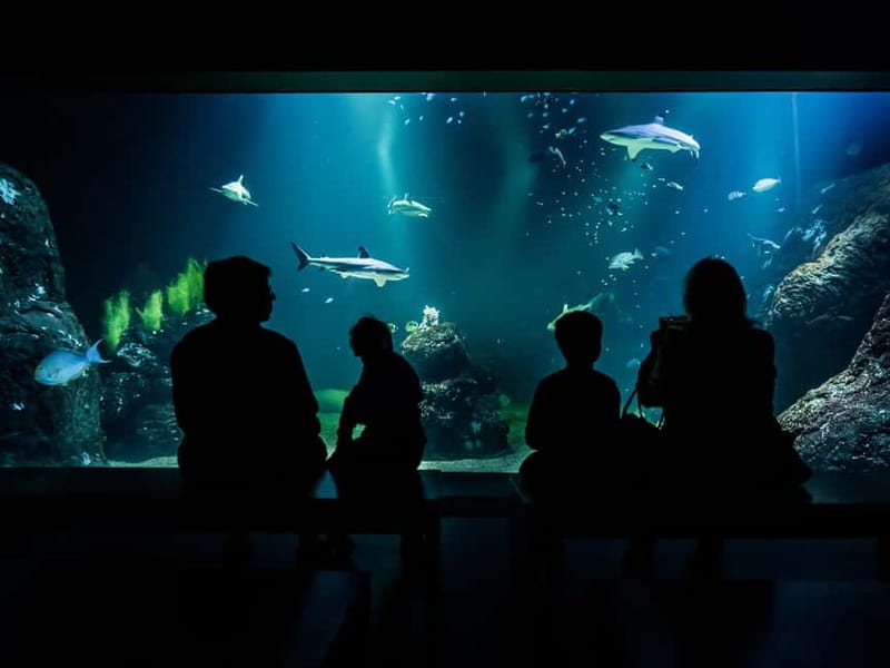 Gothenburg: Universeum Entry Ticket - What kind of day is Universeum?