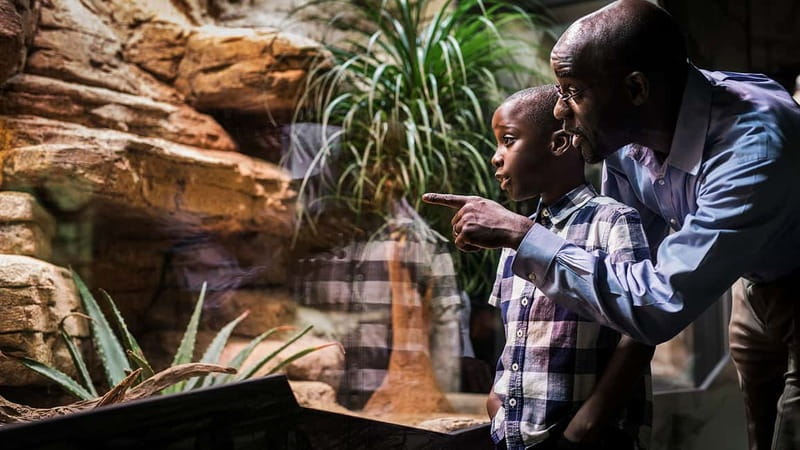 Gothenburg: Universeum Entry Ticket - Learn how the human body works