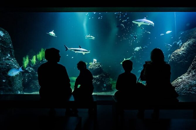 Gothenburg Universeum Ticket - Aquarium, Science, Wildlife, Zoo - From rainforest stairs to ocean life