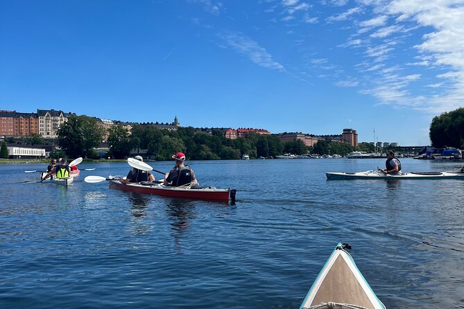 Guided Kayak Tour in Central Stockholm - Who will enjoy this most?