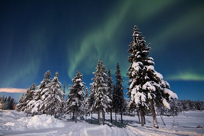Guided Northern Lights Tour at Kiruna - What happens when the sky refuses to cooperate