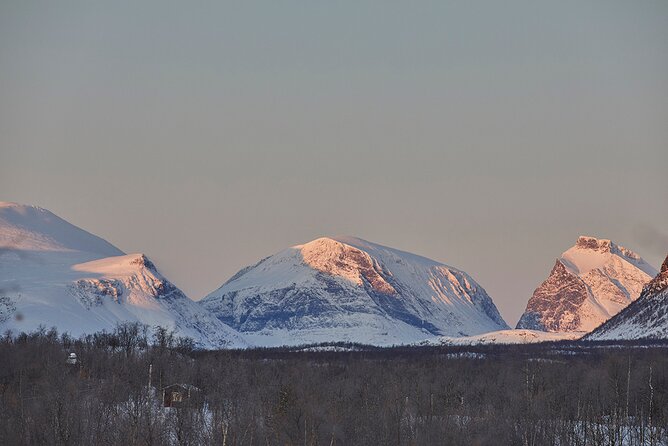 Half day Wildlife and Nature Photography - Starting early in Kiruna