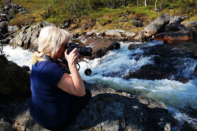 Half day Wildlife and Nature Photography - Following the day and the Sami eight seasons